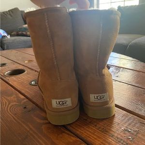 Chestnut UGGS Like New